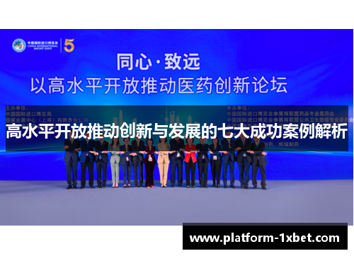 高水平开放推动创新与发展的七大成功案例解析