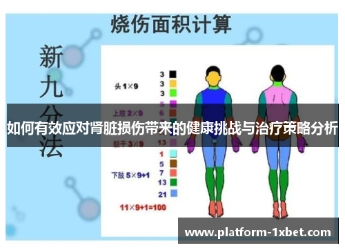 如何有效应对肾脏损伤带来的健康挑战与治疗策略分析