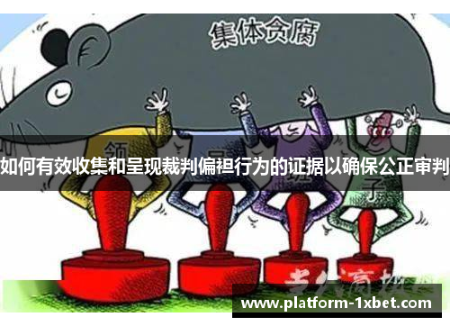 如何有效收集和呈现裁判偏袒行为的证据以确保公正审判