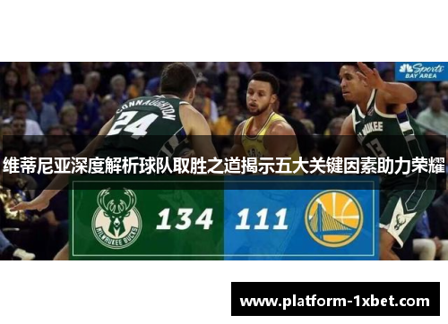 维蒂尼亚深度解析球队取胜之道揭示五大关键因素助力荣耀