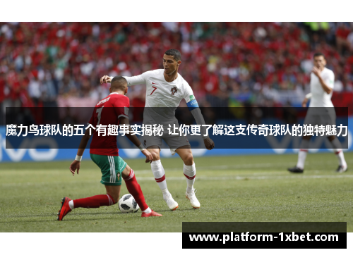 魔力鸟球队的五个有趣事实揭秘 让你更了解这支传奇球队的独特魅力
